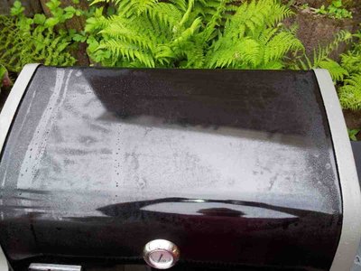 20130518_161816.thumb.jpg.d820a5c673e2bb8f824bf27507076060.jpg