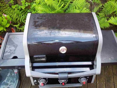20130520_190749.thumb.jpg.91ac853b7bf5c882099ab97545ff72c7.jpg