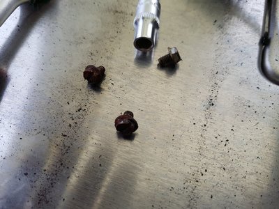 20161223_151837.thumb.jpg.b38f2865b88c608d92a85aadb1e48a55.jpg