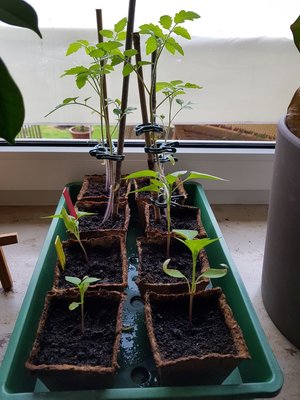 20170419_190727.thumb.jpg.1a66927fd0144102f4d0570328ac574f.jpg