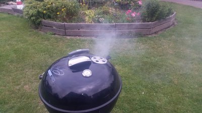 20190818_110339.thumb.jpg.e7481fba693e6de87e73f492a33a1f5e.jpg
