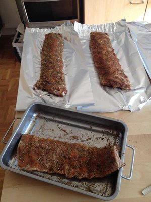 4Ribs.thumb.jpg.74b06a44778fda71ab37a74ab0e17a9d.jpg