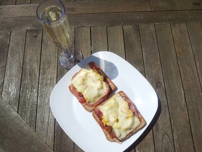 Toast.thumb.jpg.06cac8e4de8b3de4e27f690be13457fe.jpg