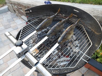 Grillaufsatz 3.jpg